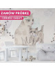 MALUMI TAPETA DO POKOJU DZIECIĘCEGO Cutty Cats - violet - tapeta dziecięca z kotkami