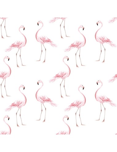 Tapeta Flamingo