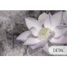 Tapeta do pokoju dziecka - Lotus Blossom - MySweetRoom