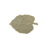 Dywan bawełniany Monstera Olive 200x285 cm Maxi Rugs Lorena Canals