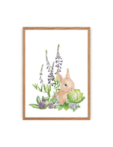 Obrazek Forest Story Hare