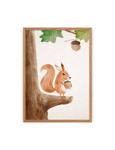 Obrazek Forest Story Squirrel