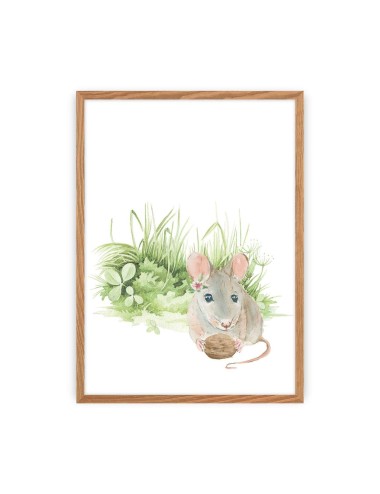 Obrazek Forest Story Mouse